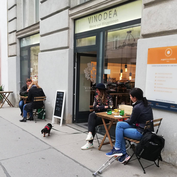 Vinodea | Weinhandlung | Weine von Winzerinnen | Shop | Schanigarten