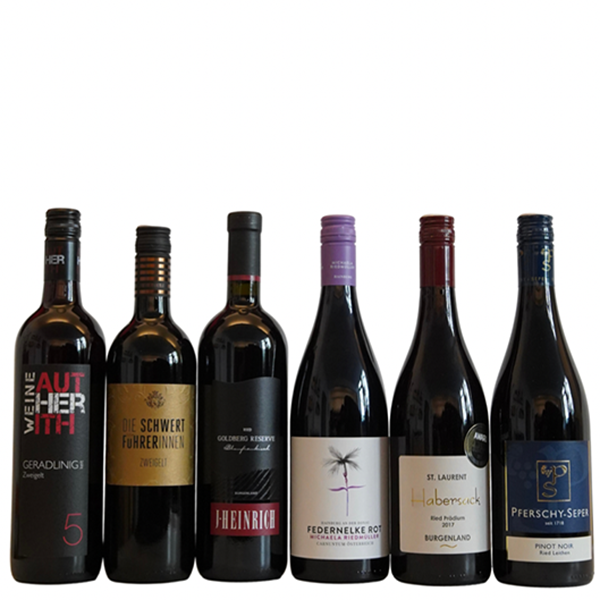 Vinodea | Weinhandlung | Weine von Winzerinnen | Shop | Angebot | Rotweinpaket