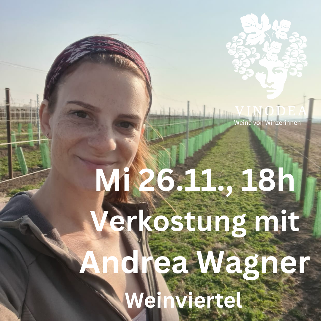 Vinodea | Weinhandlung | Weine von Winzerinnen | Shop | Verkostungen | Andera Wagner